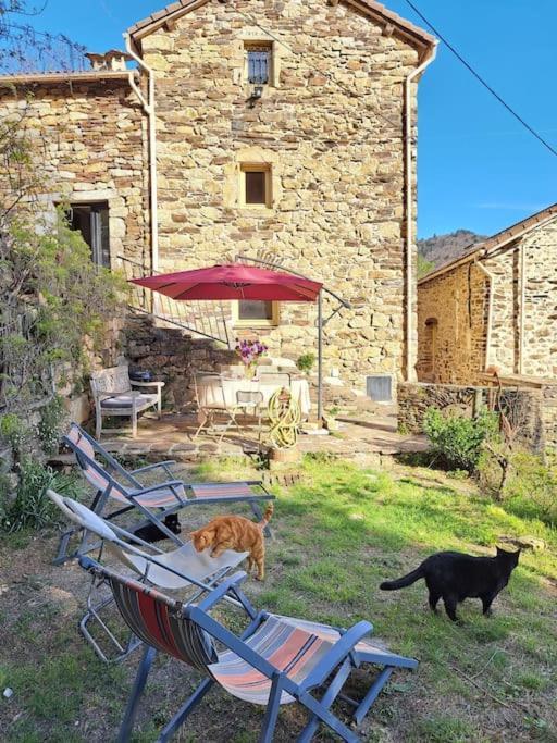 Ecolieu La Bernarde - Havre De Paix Cosy *