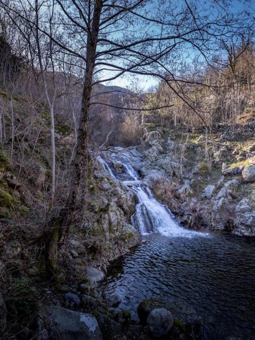 Hébergement de vacances Ecolieu La Bernarde - Havre De Paix Cosy Dompnac